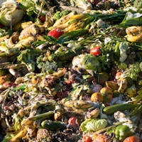 image of food waste